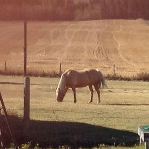 Meet your Posher, Deborah